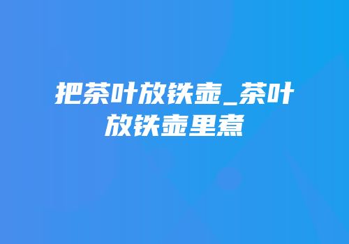 把茶叶放铁壶_茶叶放铁壶里煮
