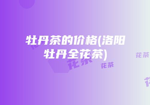 牡丹茶的价格(洛阳牡丹全花茶)