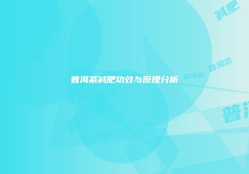 普洱茶减肥功效与原理分析