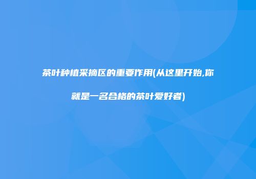 茶叶种植采摘区的重要作用(从这里开始,你就是一名合格的茶叶爱好者)