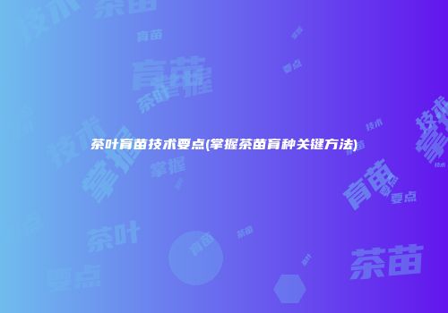 茶叶育苗技术要点(掌握茶苗育种关键方法)
