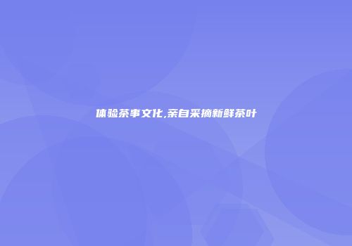 体验茶事文化,亲自采摘新鲜茶叶
