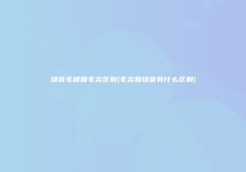 绿茶毛峰和毛尖区别(毛尖和绿茶有什么区别)
