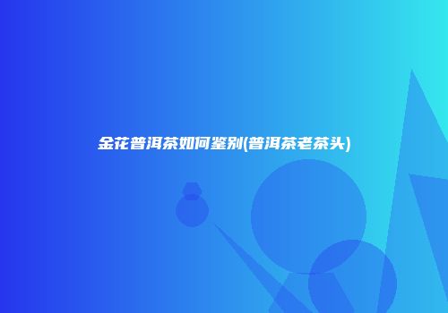 金花普洱茶如何鉴别(普洱茶老茶头)