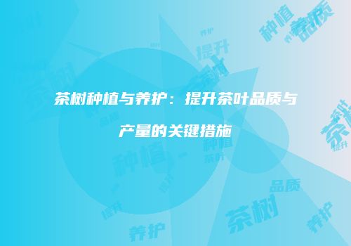 茶树种植与养护：提升茶叶品质与产量的关键措施
