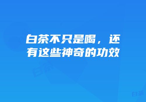 白茶不只是喝，还有这些神奇的功效