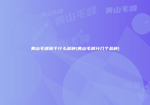 黄山毛峰属于什么树种(黄山毛峰分几个品种)