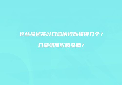 这些描述茶叶口感的词你懂得几个？口感如何影响品质？