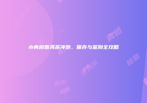 小青柑普洱茶冲泡、保存与鉴别全攻略
