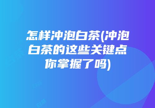怎样冲泡白茶(冲泡白茶的这些关键点你掌握了吗)