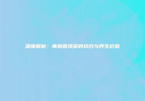 深度解析：青柑普洱茶的功效与养生价值
