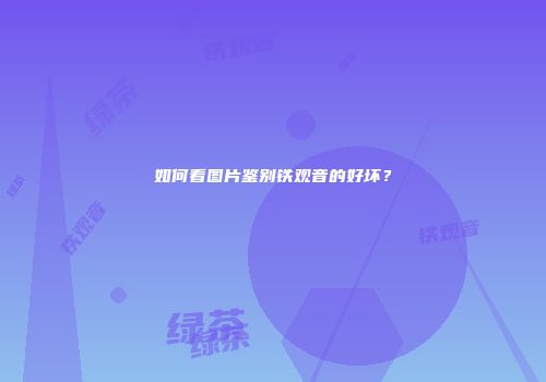 如何看图片鉴别铁观音的好坏？