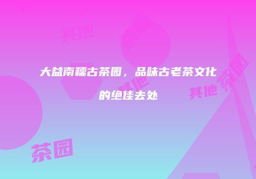 大益南糯古茶园，品味古老茶文化的绝佳去处