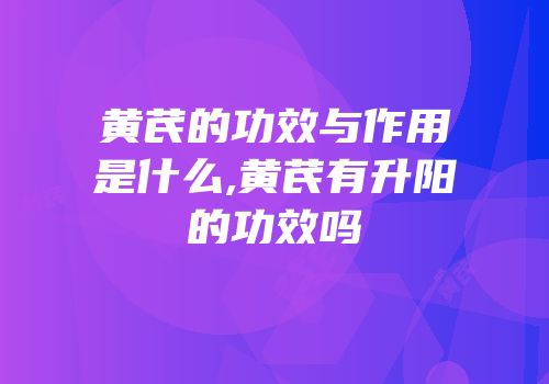 黄芪的功效与作用是什么,黄芪有升阳的功效吗