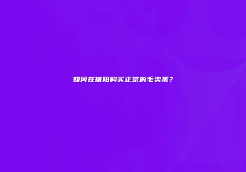 如何在信阳购买正宗的毛尖茶？