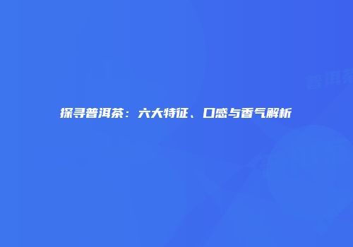 探寻普洱茶：六大特征、口感与香气解析