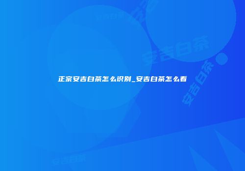 正宗安吉白茶怎么识别_安吉白茶怎么看