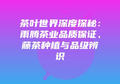 茶叶世界深度探秘：雨腾茶业品质保证、藤茶种植与品级辨识