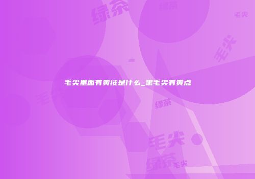 毛尖里面有黄绒是什么_黑毛尖有黄点