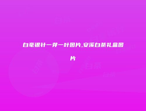 白毫银针一芽一叶图片,安溪白茶礼盒图片