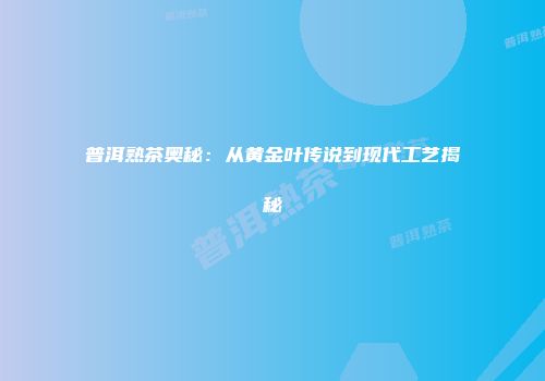 普洱熟茶奥秘：从黄金叶传说到现代工艺揭秘