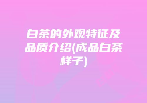 白茶的外观特征及品质介绍(成品白茶样子)