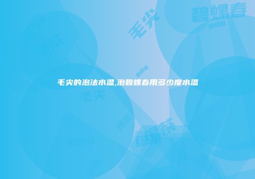 毛尖的泡法水温,泡碧螺春用多少度水温