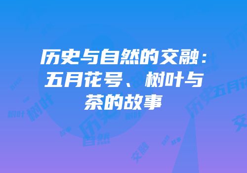 历史与自然的交融：五月花号、树叶与茶的故事