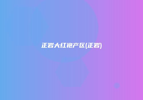 正岩大红袍产区(正岩)