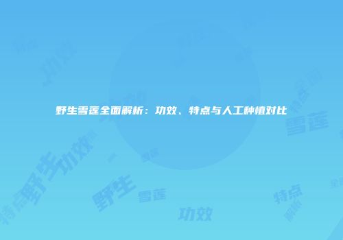 野生雪莲全面解析：功效、特点与人工种植对比