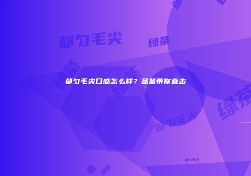 都匀毛尖口感怎么样？品鉴带你直击