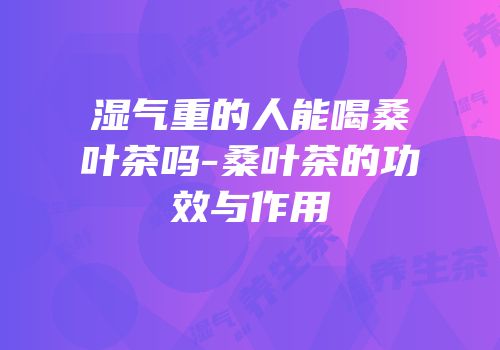 湿气重的人能喝桑叶茶吗-桑叶茶的功效与作用
