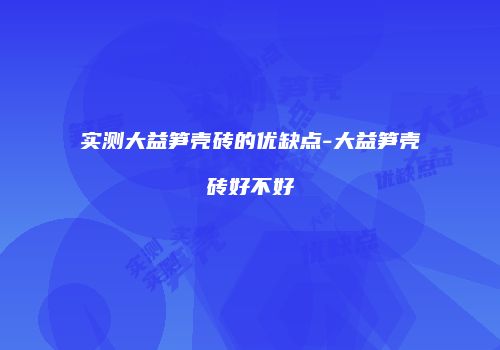 实测大益笋壳砖的优缺点-大益笋壳砖好不好