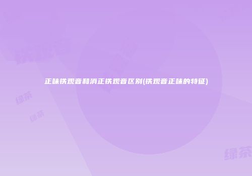 正味铁观音和消正铁观音区别(铁观音正味的特征)