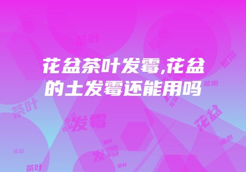 花盆茶叶发霉,花盆的土发霉还能用吗