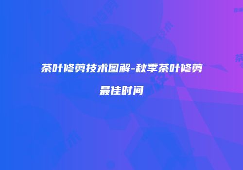 茶叶修剪技术图解-秋季茶叶修剪最佳时间