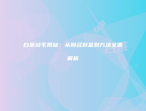 白茶绒毛揭秘：从别名到鉴别方法全面解析