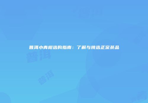 普洱小青柑选购指南：了解与挑选正宗茶品