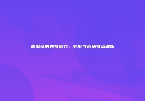 普洱茶的独特魅力：外形与茶汤特点解析