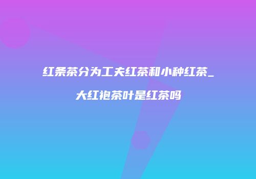 红条茶分为工夫红茶和小种红茶_大红袍茶叶是红茶吗