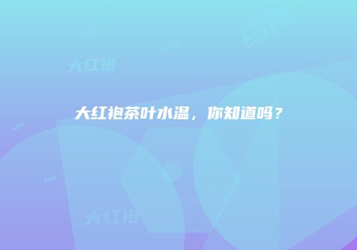 大红袍茶叶水温，你知道吗？