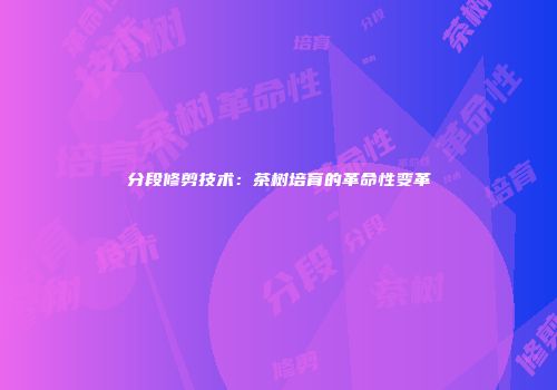 分段修剪技术：茶树培育的革命性变革