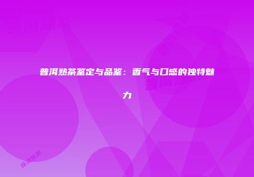 普洱熟茶鉴定与品鉴：香气与口感的独特魅力