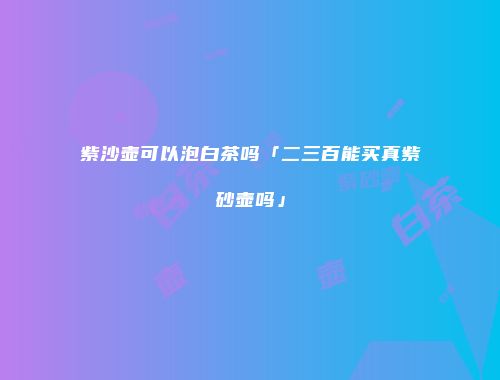 紫沙壶可以泡白茶吗「二三百能买真紫砂壶吗」
