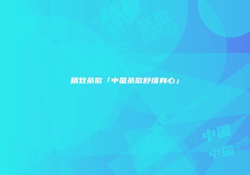 精致茶歇「中国茶歇舒缓身心」