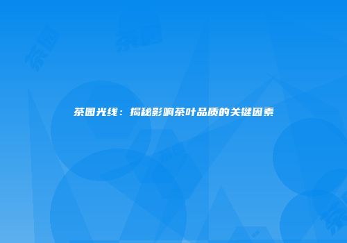 茶园光线：揭秘影响茶叶品质的关键因素