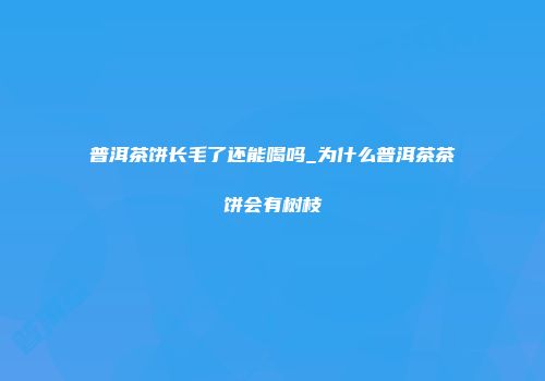 普洱茶饼长毛了还能喝吗_为什么普洱茶茶饼会有树枝