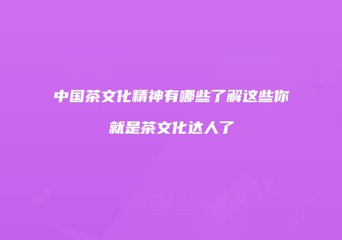 中国茶文化精神有哪些了解这些你就是茶文化达人了