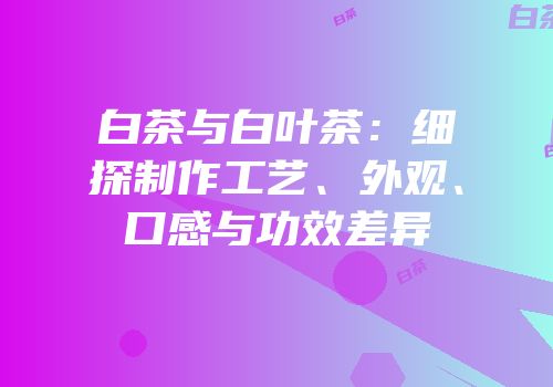 白茶与白叶茶：细探制作工艺、外观、口感与功效差异