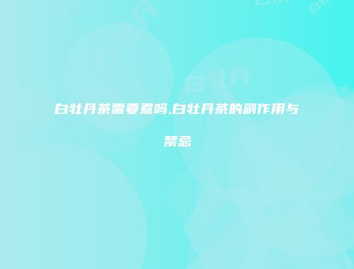 白牡丹茶需要煮吗,白牡丹茶的副作用与禁忌